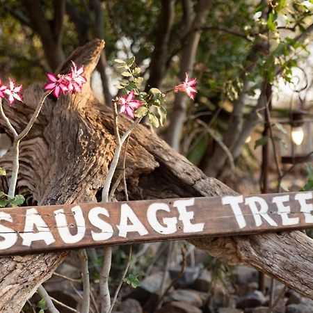 Sausage Tree Safari Camp Reserva de Caça de Balule Exterior foto