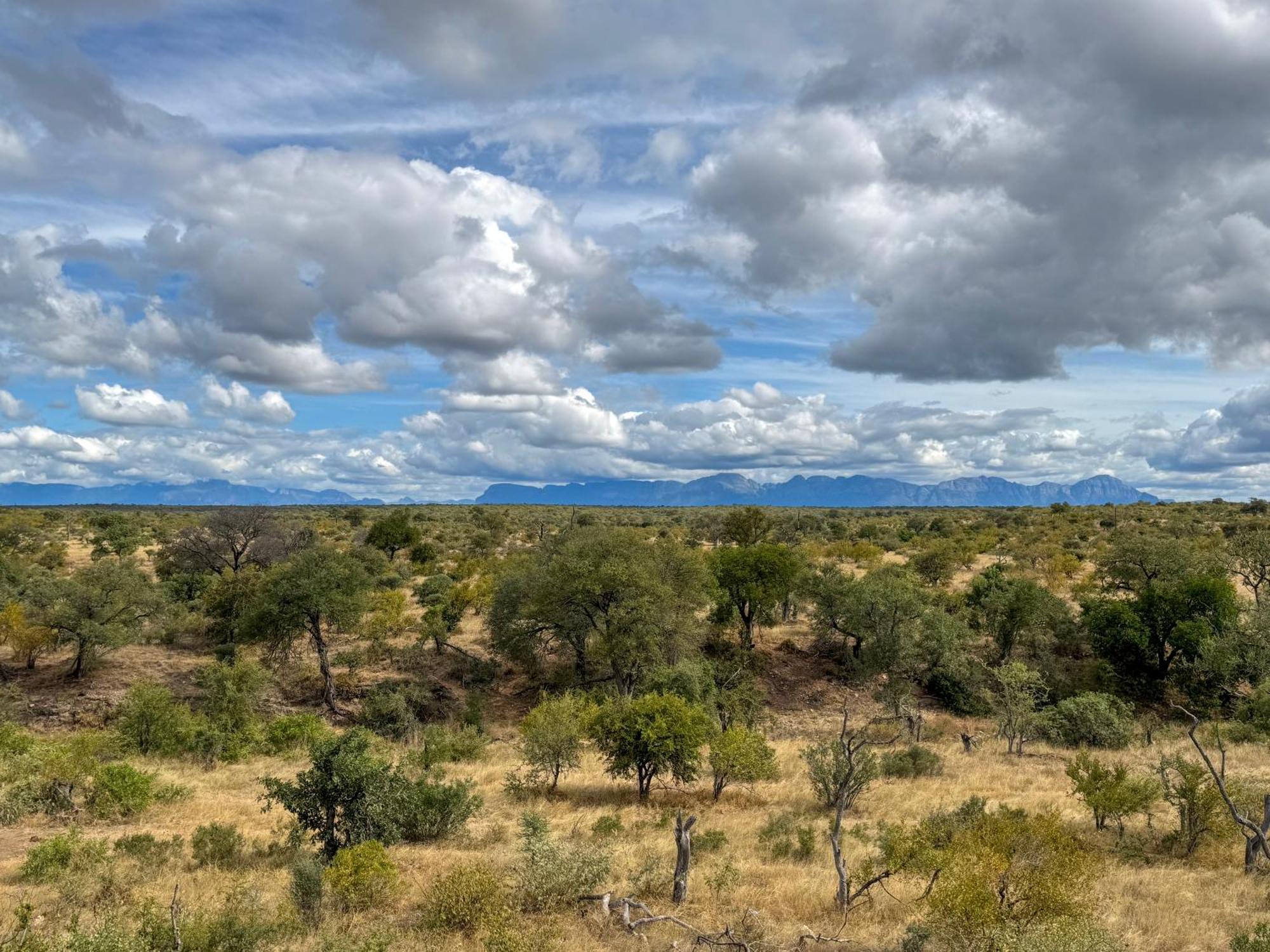 Sausage Tree Safari Camp Balule Game Reserve Exterior foto